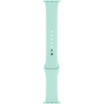 Narukvica TIP 3 (F10, F10 Pro, F50 Pro) light green